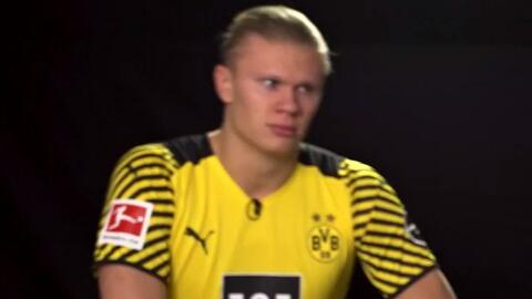 底特律老虎 底特律老虎